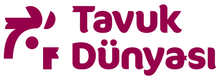 TAVUK DÜNYASI